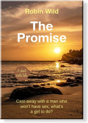 The Promise - Erotic eBook